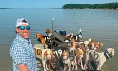 Rescataron a 38 perros que nadaban en el río