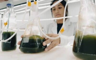 Un suplemento dietario aborda los síntomas del COVID-19 prolongado