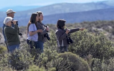 Fundación Vida Silvestre anunció el Safari de Invierno 2024