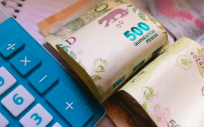 Ranking de plazos fijos: los bancos que más pagan