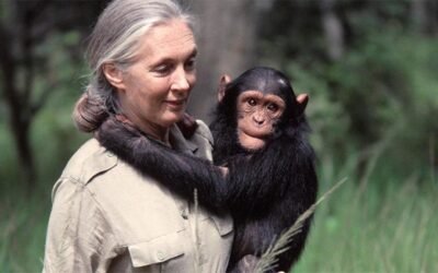 Río Uruguay Seguros participó en un encuentro con la Dra. Jane Goodall