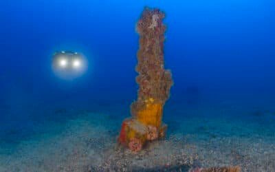 Asombroso hallazgo en el mar de Italia: descubrieron un ancla de la época romana