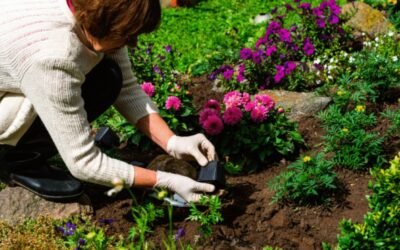 Abren la inscripción para cursos gratuitos de jardinería en el ciclo 2025