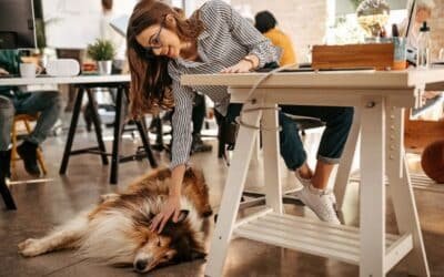 Trabajar con tu mejor amigo: las oficinas pet friendly están cambiando el entorno laboral