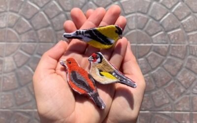 Arranca el Festival Chiquito de Córdoba