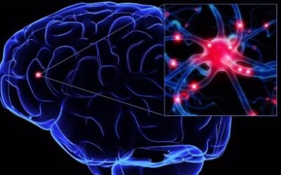 La Inteligencia Artificial redujo el avance del Parkinson