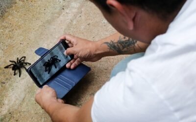 Comienza el Safari virtual de Invierno