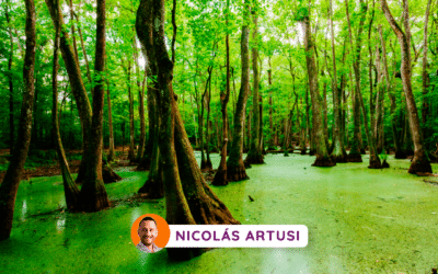 El jardín del bien y del mal