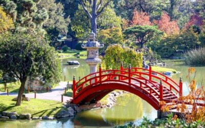 La original propuesta de la Ciudad de Buenos Aires para las personas que quieran casarse