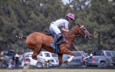 Los eventos más destacados de Ticketek en este fin de semana