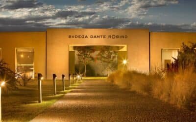 La historia de la bodega argentina que hace un vino premiado en el mundo