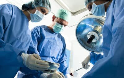 Se realizó el primer trasplante de hígado de cerdo modificado a una persona