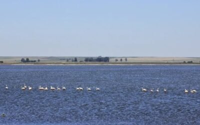 Se viene el Mundial de Turismo Rural