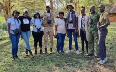 Observadores de aves batieron el récord mundial y documentaron 7.800 especies en un día