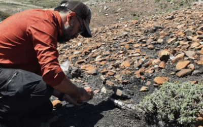 Hallaron en Neuquén huellas de pterodáctilos de 100 millones de años