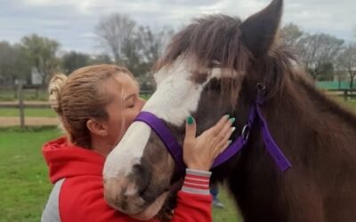“Cinco corazones”, la ONG que rescata a caballos de la explotación