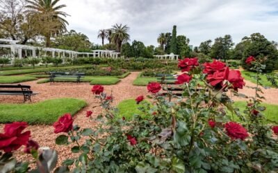 El mítico Rosedal de Palermo cumple 110 años