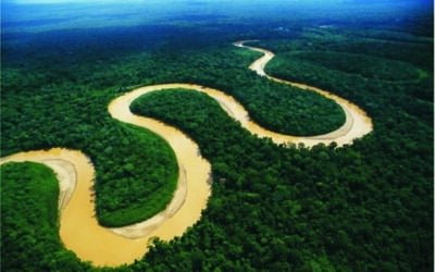 Gesto que vale millones: un magnate sueco compró parte de la Amazonía para protegerla