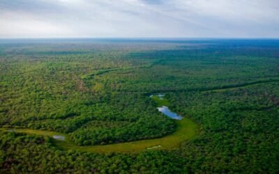 El Parque Nacional El Impenetrable fue elegido como uno de los mejores destinos para visitar en el 2025