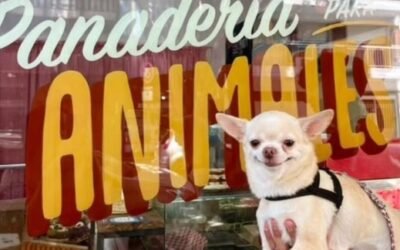 La panadería para perros ya prepara un menú navideño