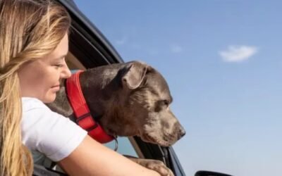 Un pueblo de Buenos Aires fue declarado “mascotero”