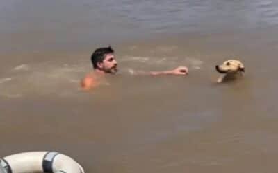 Se tiró al río en el Delta para rescatar a un perro