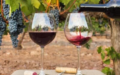 Cuatro vinos argentinos, entre los mejores del mundo