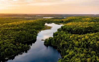 Día Mundial de la Educación Ambiental: por qué se celebra y cuáles son los mejores documentales para tomar conciencia
