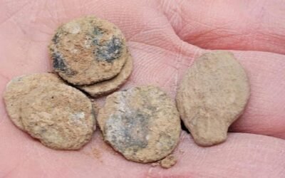 Descubrieron un tesoro de 160 monedas asmoneas de 2100 años en el valle del Jordán