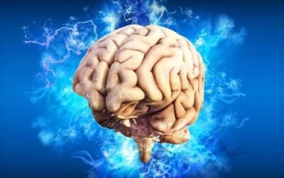 Descubrieron la temperatura ideal para el cerebro