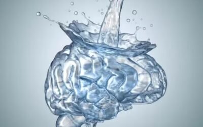 El hábito natural que ayuda a prevenir la falta de memoria