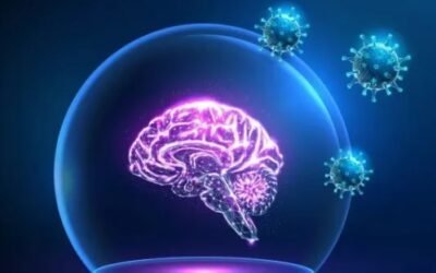 El magnesio, un componente clave para el cerebro