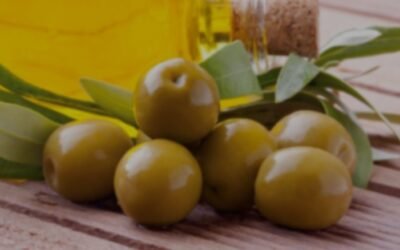 Impulsan la creación de la Ruta del Olivo