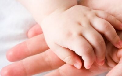 Los primeros bebés del año de la Argentina