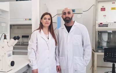 Científicos argentinos neutralizaron al virus del dengue