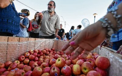 Comenzó la Fiesta Nacional de la Manzana: cómo será el cronograma y qué artistas integran el line-up