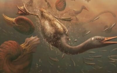 Descubrieron el fósil de un ave antigua en la Antártida