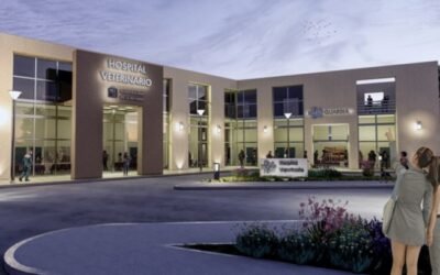 Avanza la obra del primer hospital veterinario público