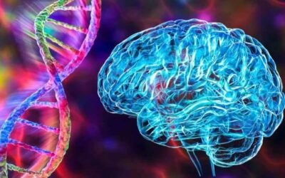 Mutaciones genéticas para vencer a la ELA