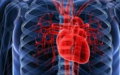 Revelan tratamientos para distintas cicatrices del corazón