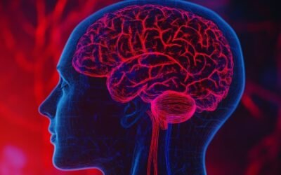La vitamina B y el combate contra el envejecimiento del cerebro