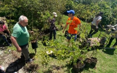 Abrió la inscripción para quienes quieran ser voluntariados de vivero y agricultura urbana