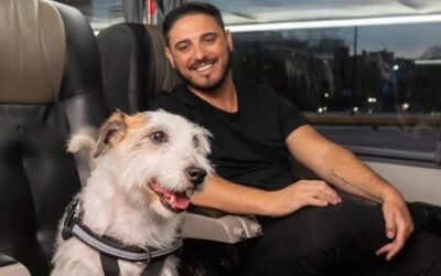 En Santa Fe se podrá viajar en colectivo con mascotas