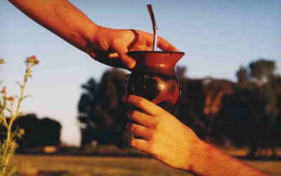 El mate podría ayudar a combatir el mal de Parkinson