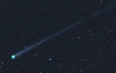 Enorme entusiasmo por la aparición de un nuevo cometa