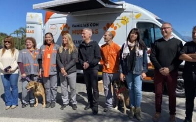 “Familias con Huellas”, el método que utilizan en Villa Carlos Paz para encontrar mascotas perdidas