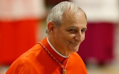 ¿Quiénes son los candidatos para reemplazar a Francisco?