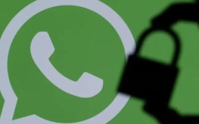WhatsApp seguro: ¿En qué consiste la nueva función?