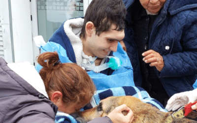 Sobrevivió a un accidente grave y se reencontró con su mascota