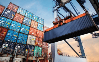 La avicultura argentina abre nuevos mercados